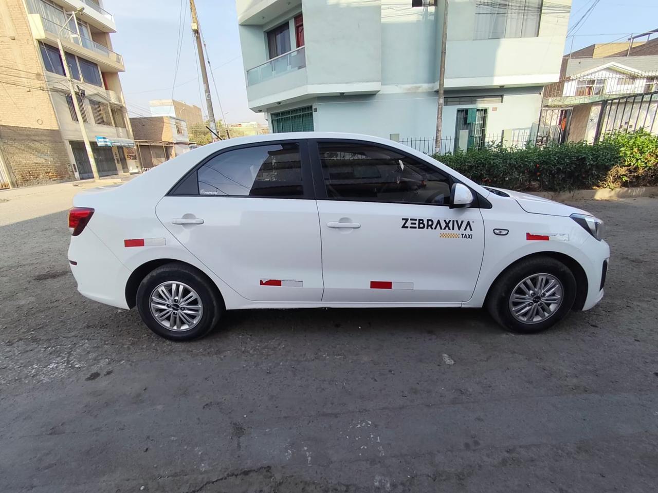 Unidad ZEBRAXIVA